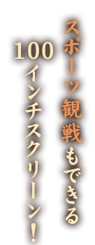 100インチスクリーン!