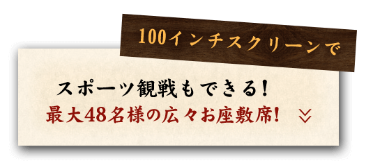 100インチスクリーンで