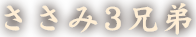 ささみ3兄弟