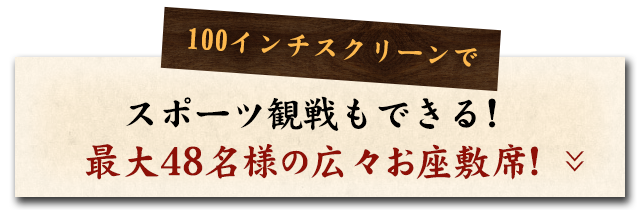 100インチスクリーンで!